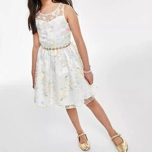 Rare Editions Big Girls Embroidered Illusion Bodice Fit & Flare Dress sz10